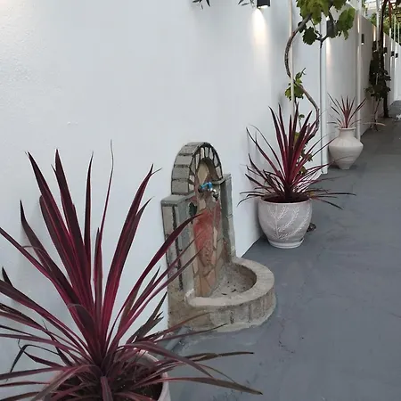 Apartamento Sofia's Garden *